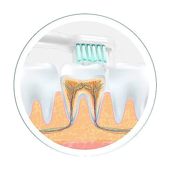 Ultrasonic Electro Toothbrush With Two Additional Brush Heads